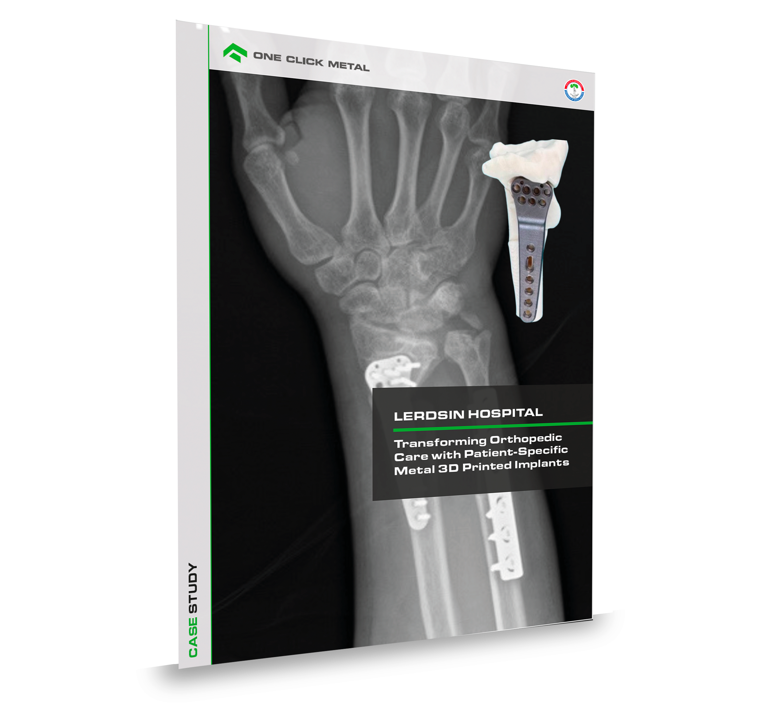 lerdsin case study mockup