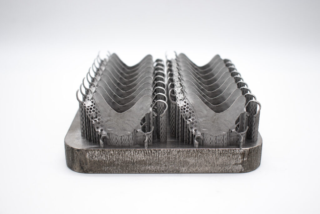 dental plate rpds 4